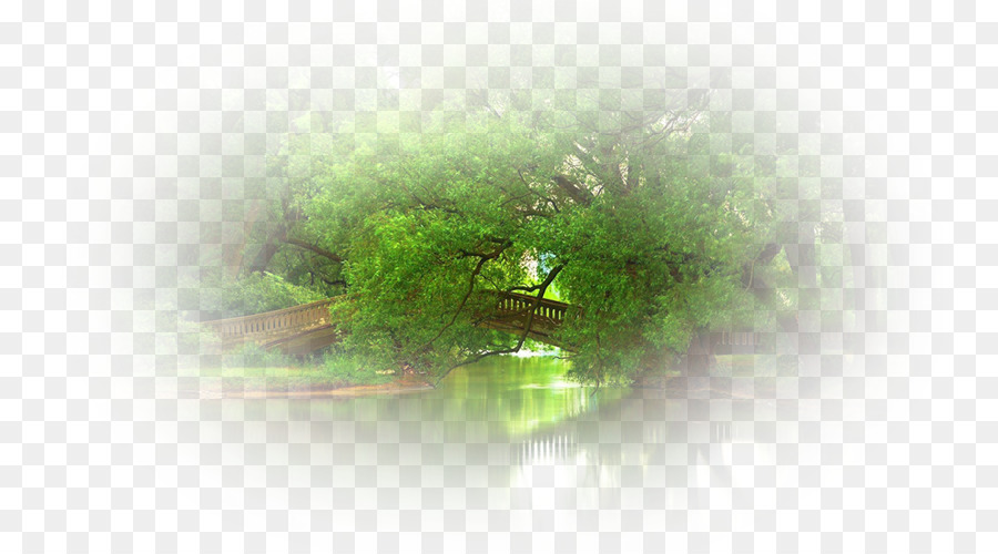 Verde，Agua PNG