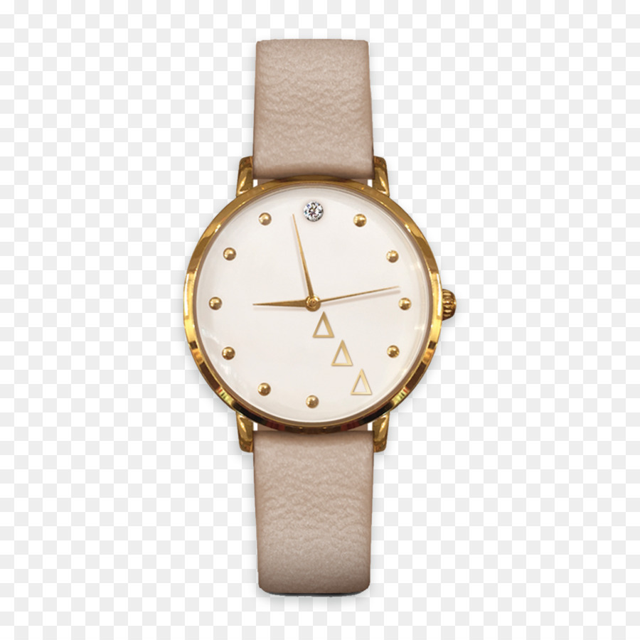 Reloj，Skagen Dinamarca PNG