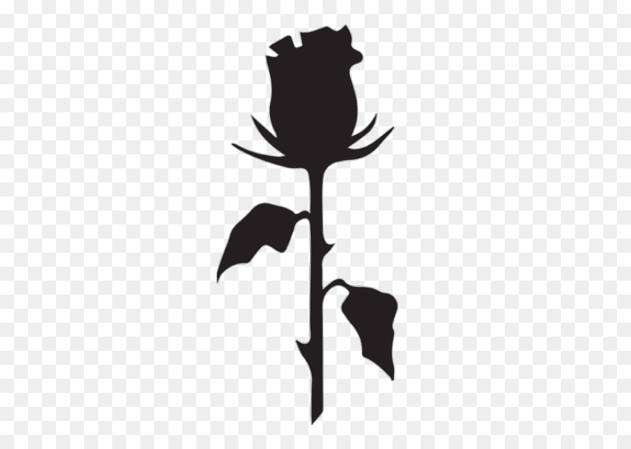 Rosa Negro，Instagram PNG