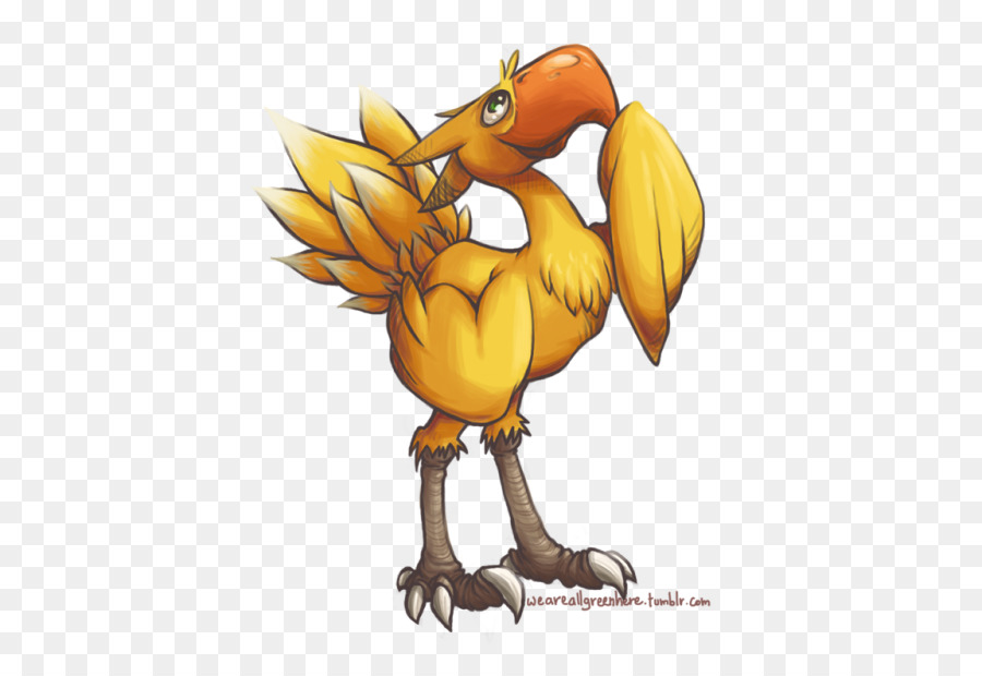 Gallo，Pico PNG