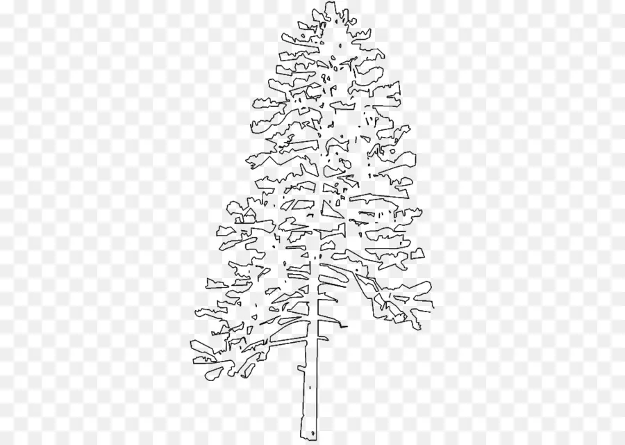 Abeto，árbol De Navidad PNG