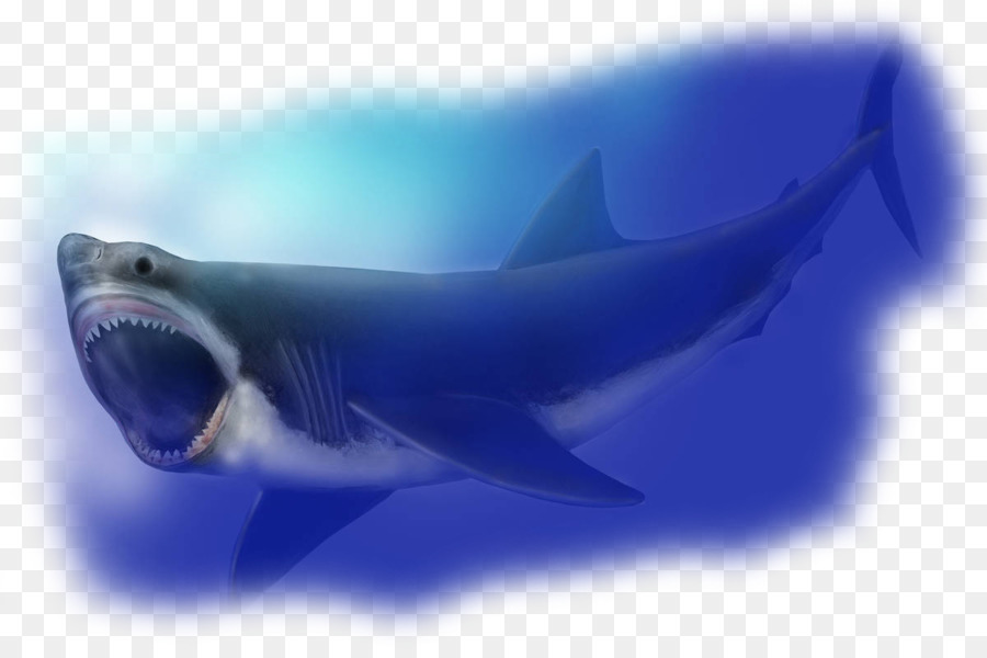 Megalodon，Tiburón PNG