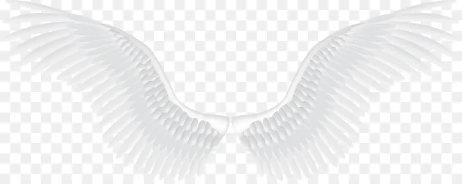 Alas，Plumas PNG