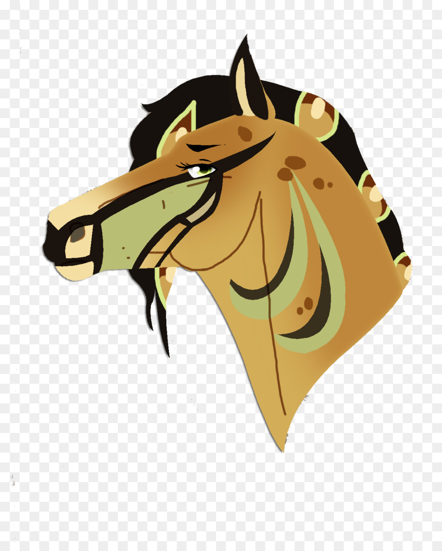 Cabeza De Caballo，Caballo PNG