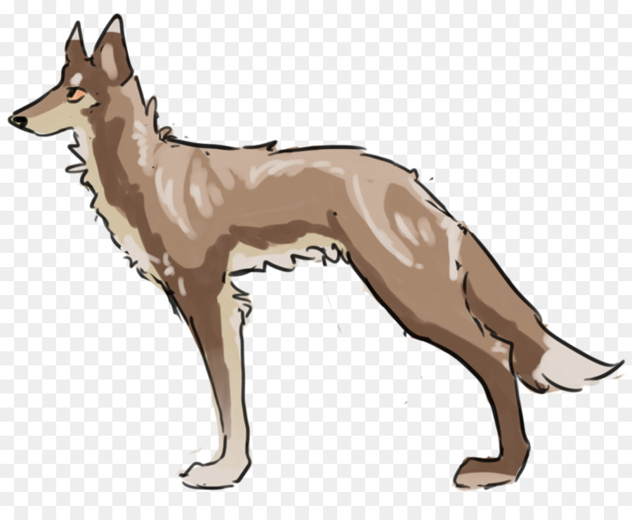 Saarloos Lobo，Perro Lobo Checoslovaco PNG