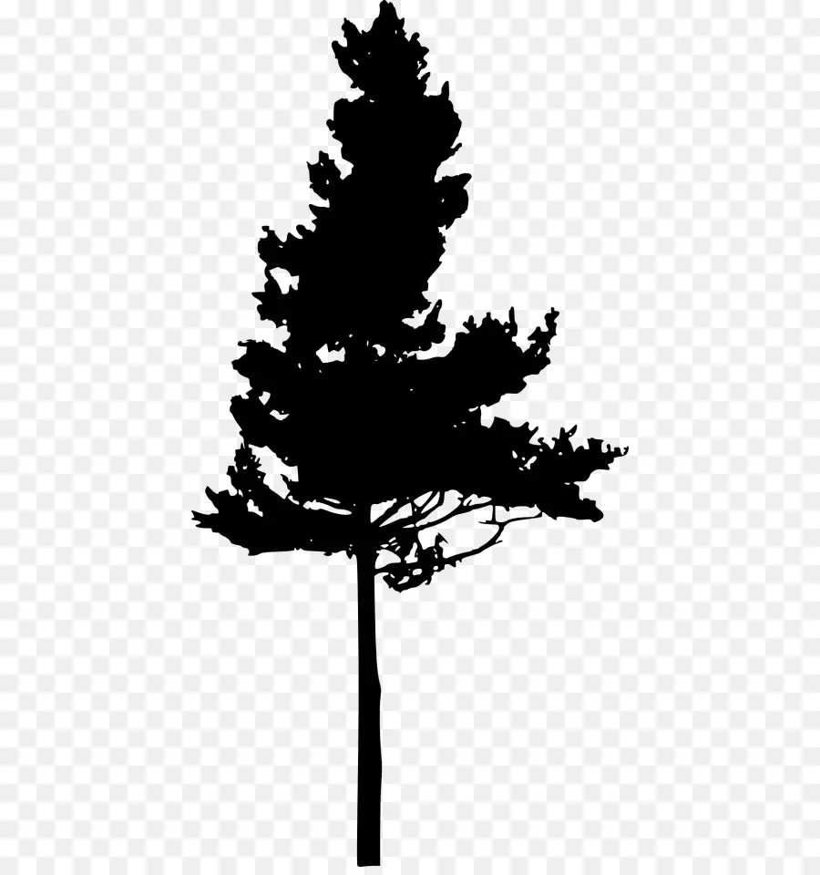 árbol Alto，Silueta PNG