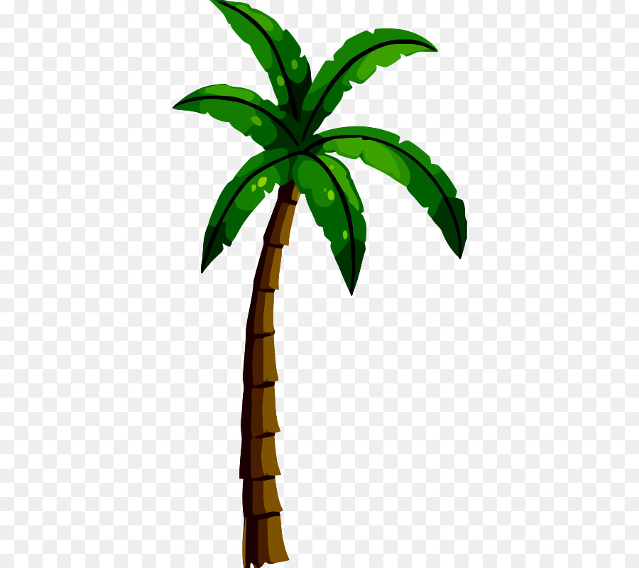 Voleibol，Arecaceae PNG