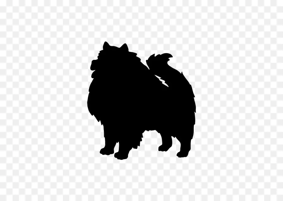 Raza De Perro，Keeshond PNG