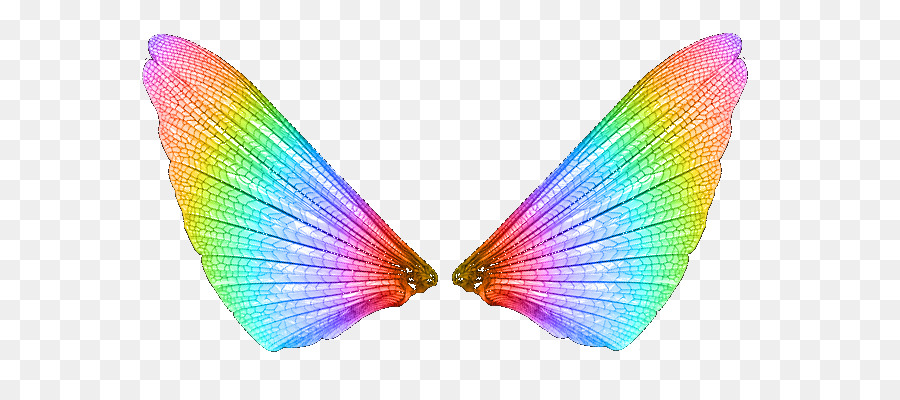 Alas De Mariposa Coloridas，Naturaleza PNG