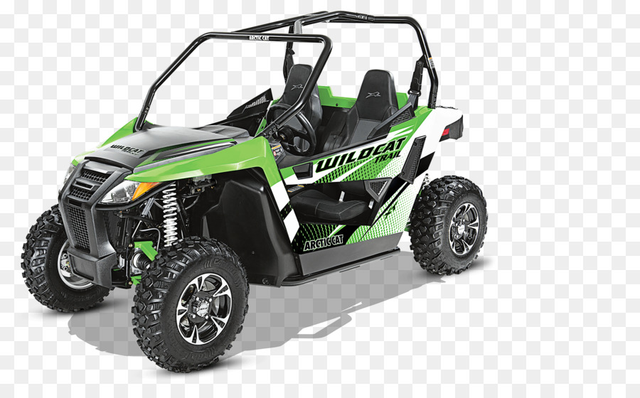 Gato Salvaje，Arctic Cat PNG