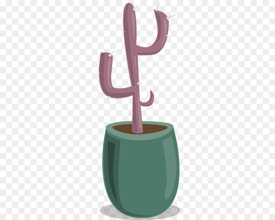 Descargar，Planta Suculenta PNG