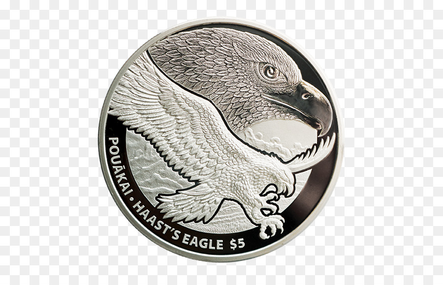 Moneda，El Águila De Haast PNG