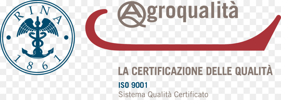 Negocio，Iso 9000 PNG