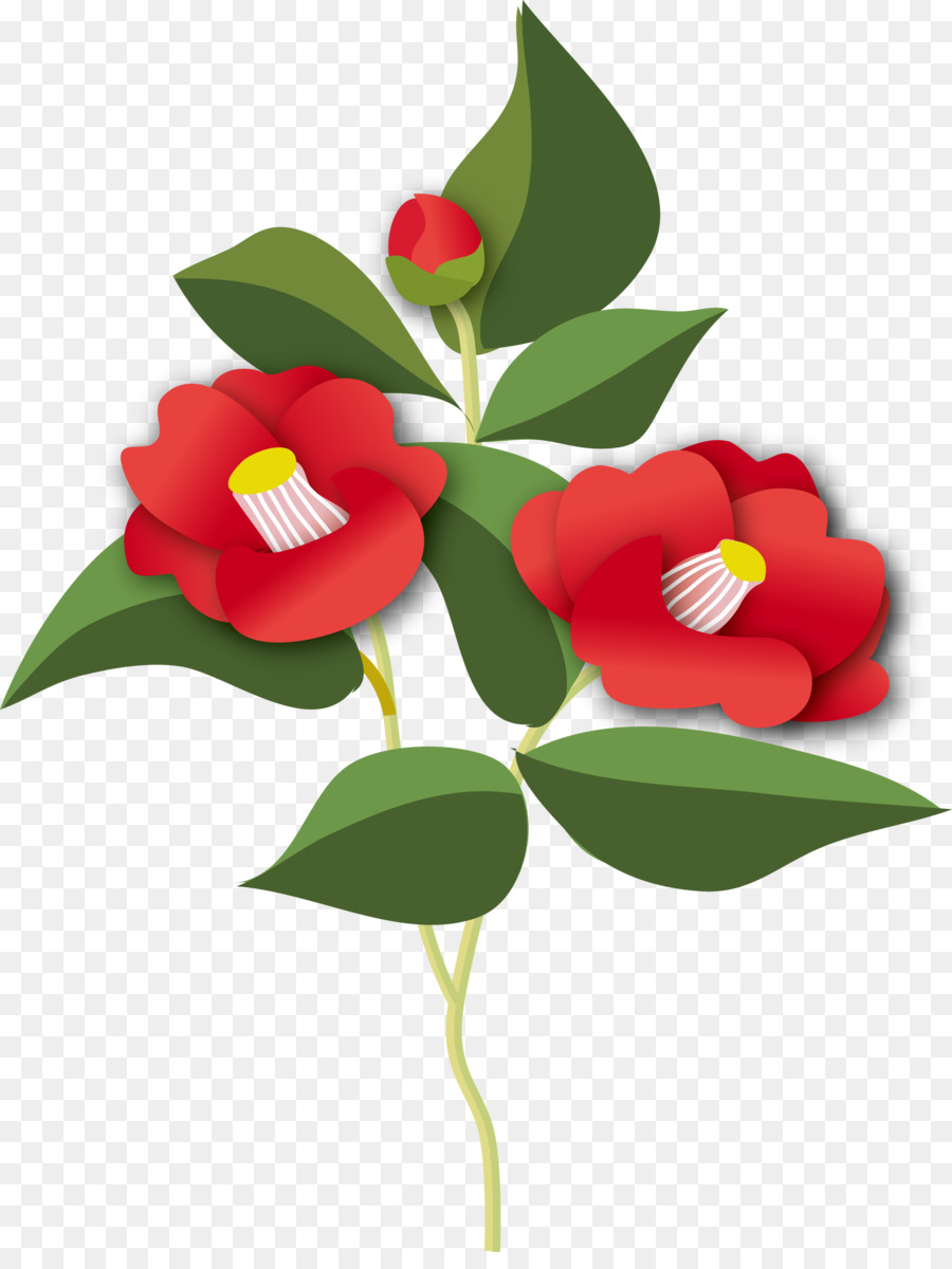 Japonés De La Camelia，Tallo De La Planta PNG