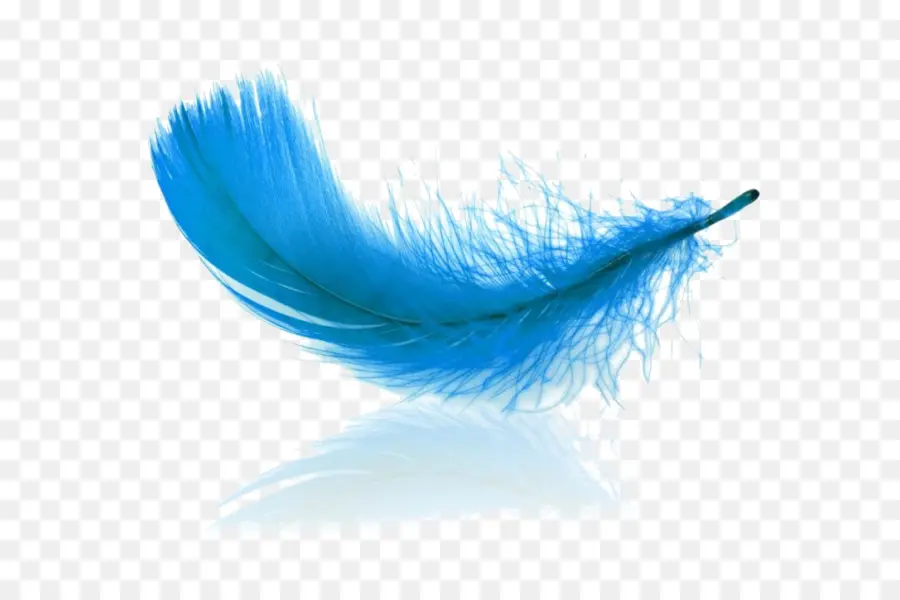 Pluma，Azul PNG