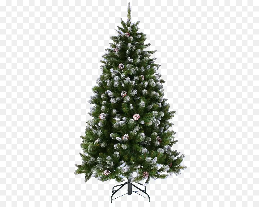 árbol De Navidad，Abeto PNG