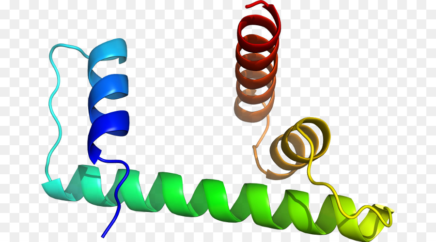 El Cuerpo De La Joyería，Joyería PNG