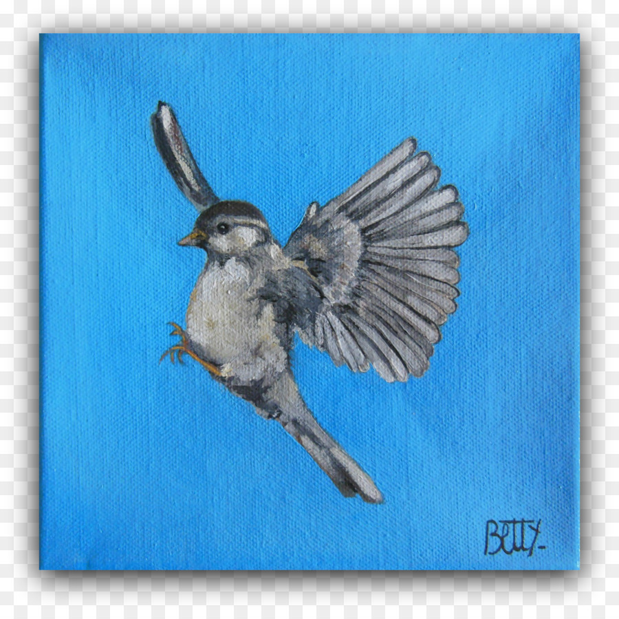 Blue Jay，Wren PNG