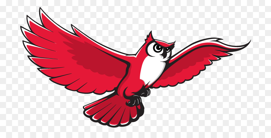 Keene State College，Keene State Owls Baloncesto Masculino PNG