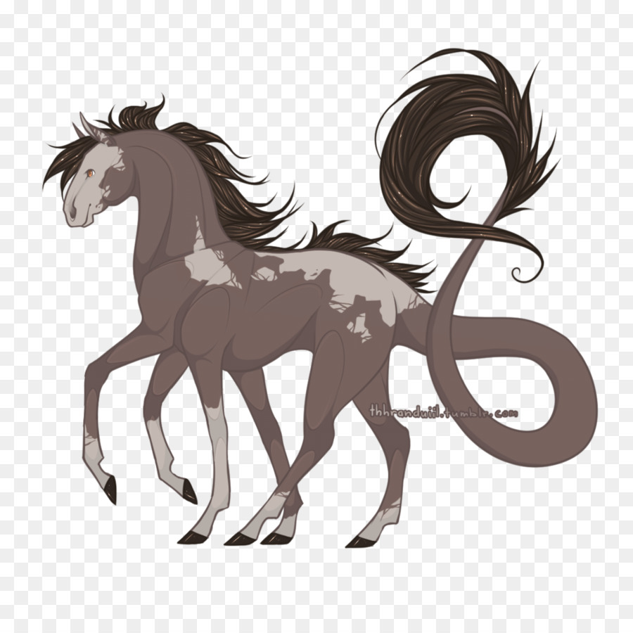 Pony，Mustang PNG