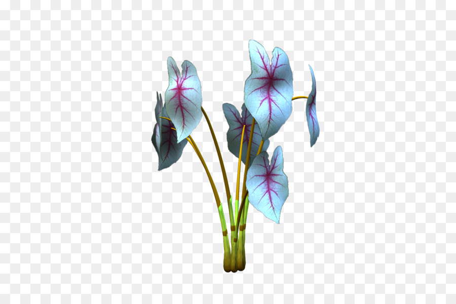 Planta，Hojas PNG