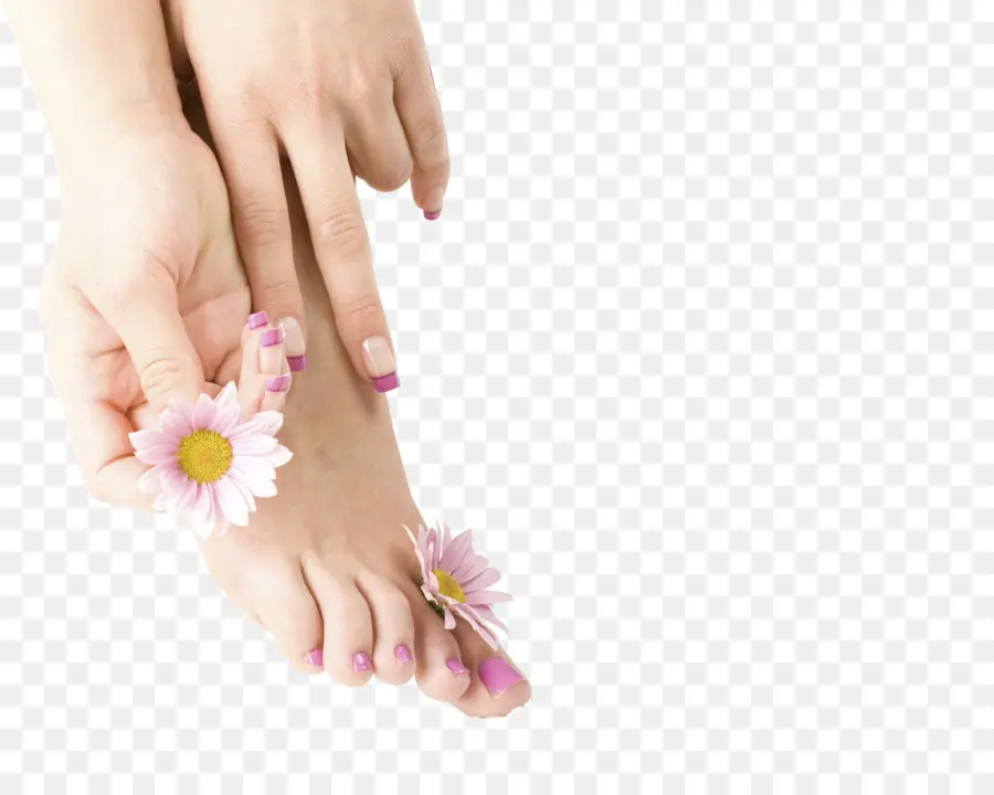 Uñas，Manicura PNG