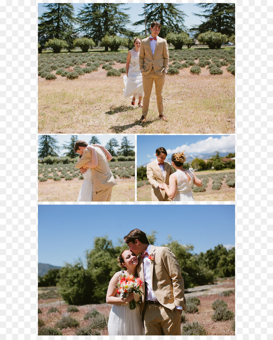 La Boda，Vestido De Novia PNG