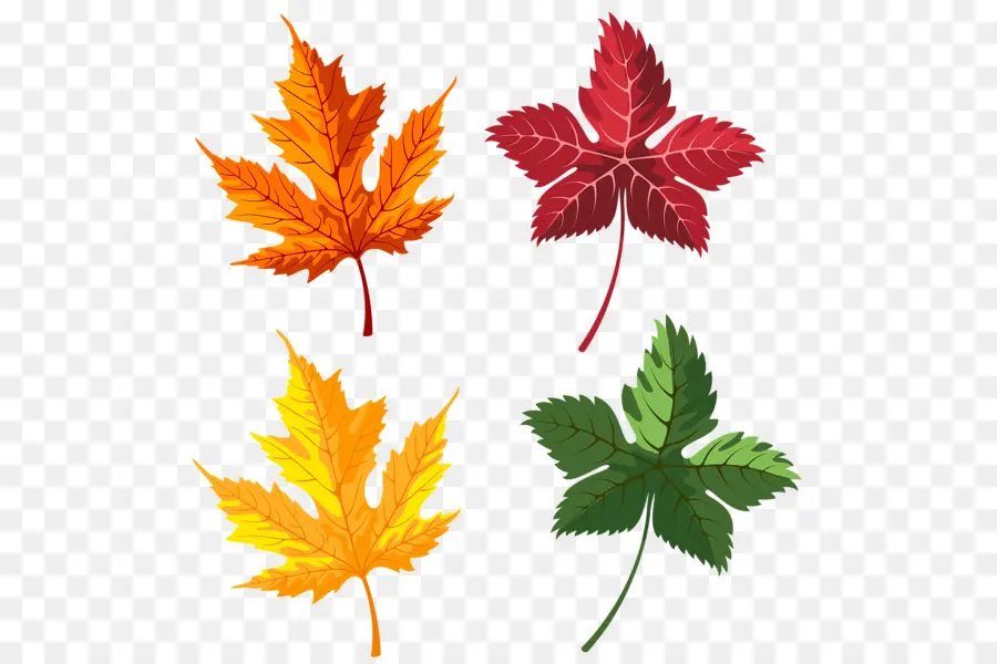 Hojas De Otoño，Caer PNG