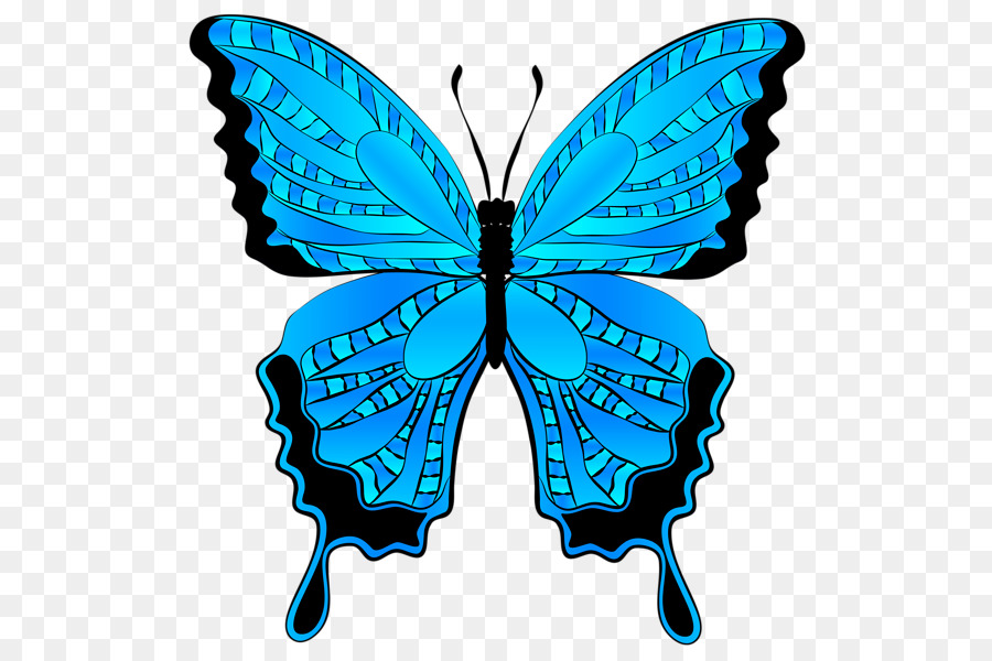 Mariposa，Descargar PNG