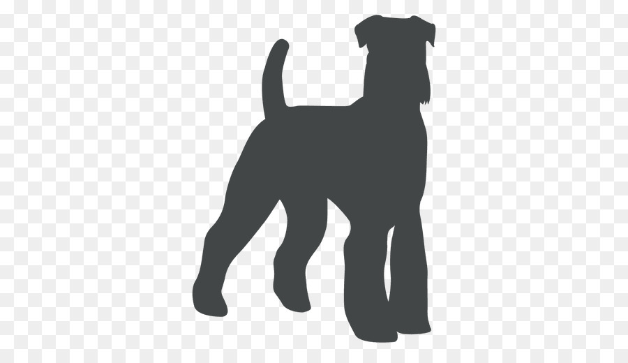 Schnauzer Miniatura，Cachorro PNG