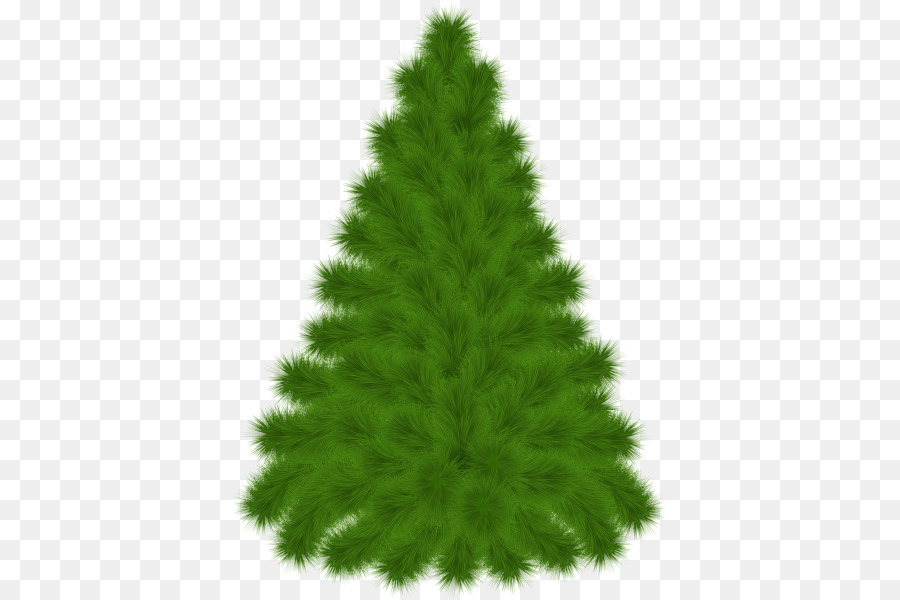 Árbol，Naturaleza PNG