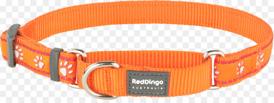 Perro，Dingo PNG