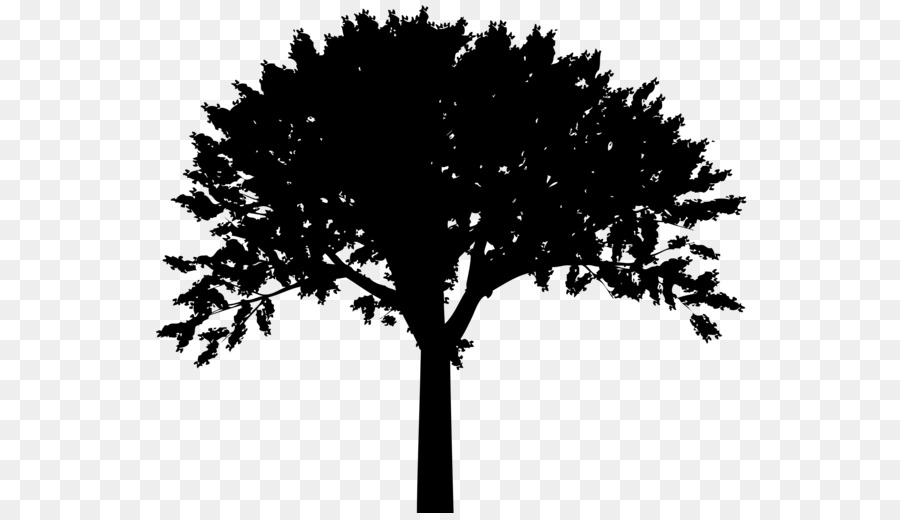 Silueta，Árbol PNG