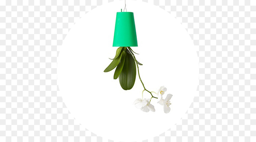 Maceta，Planta PNG