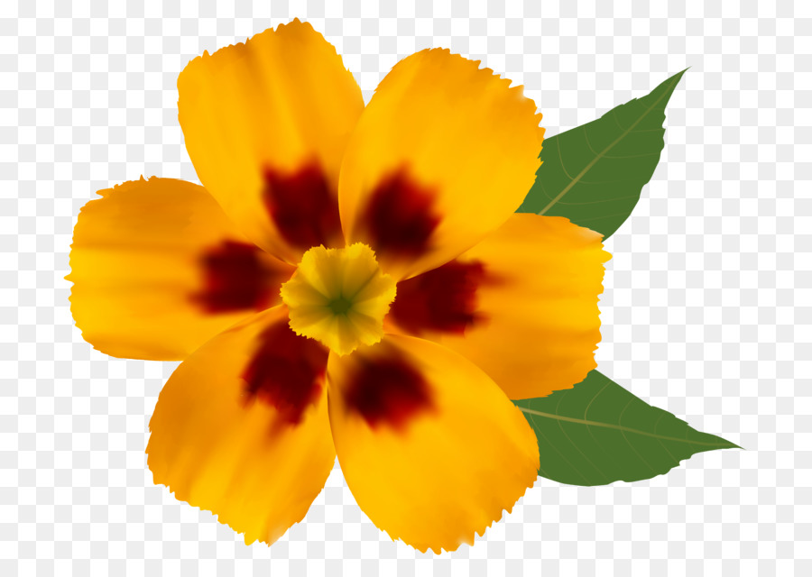 Flor，Amarillo PNG