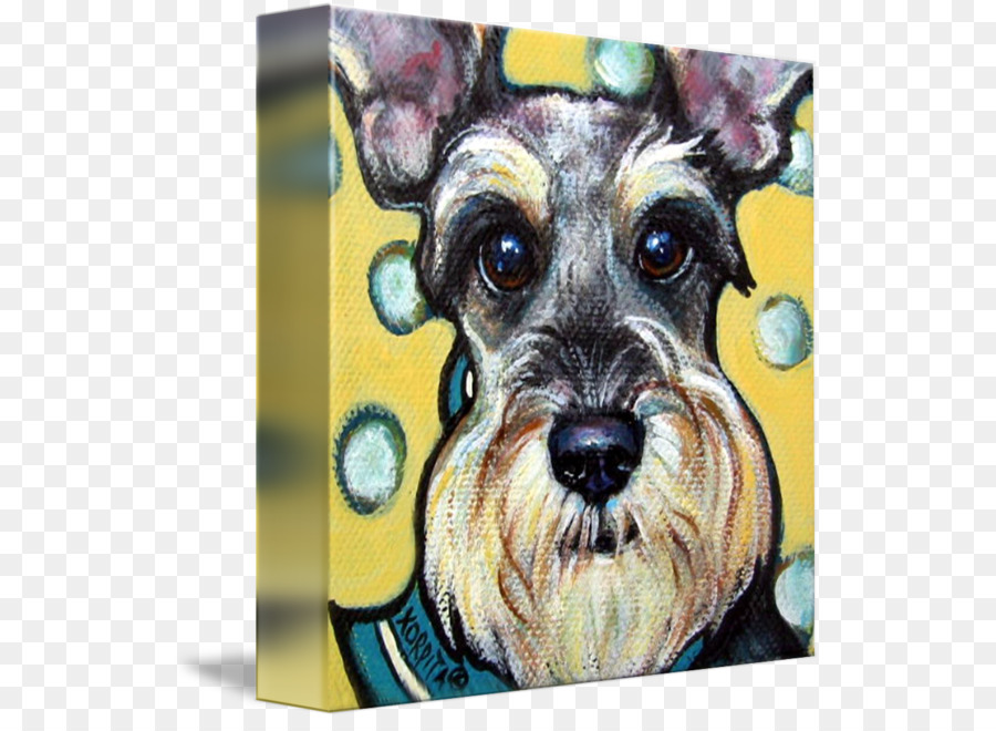 Schnauzer Miniatura，Schnoodle PNG