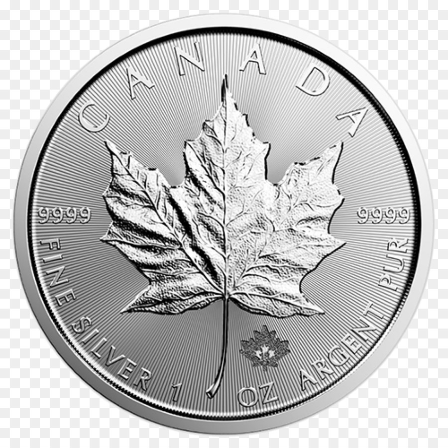 Moneda De Plata Canadiense，Divisa PNG