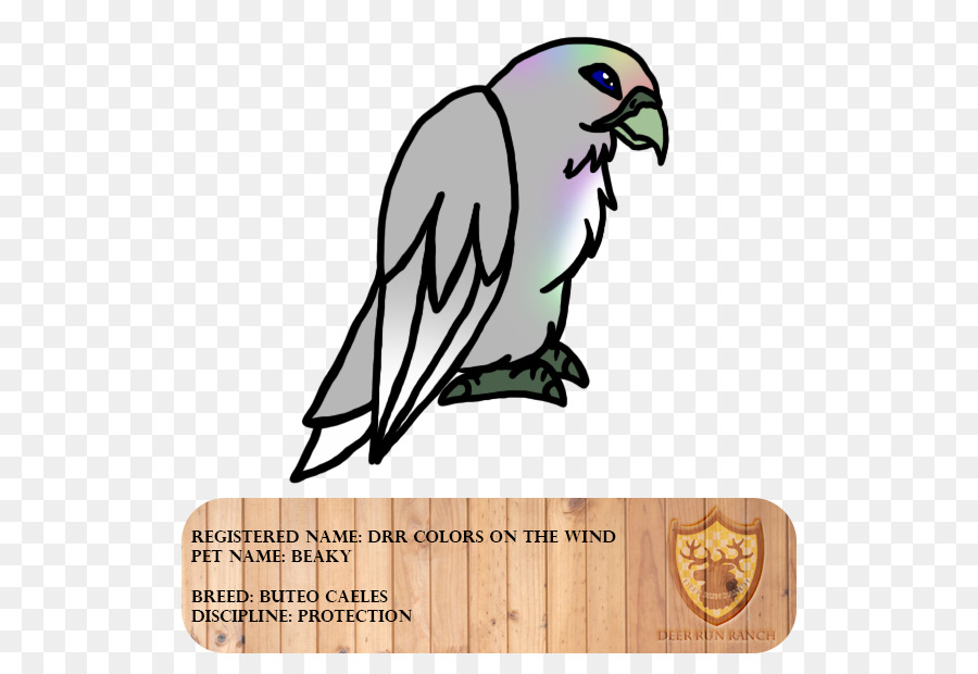 Guacamayo，Pico PNG