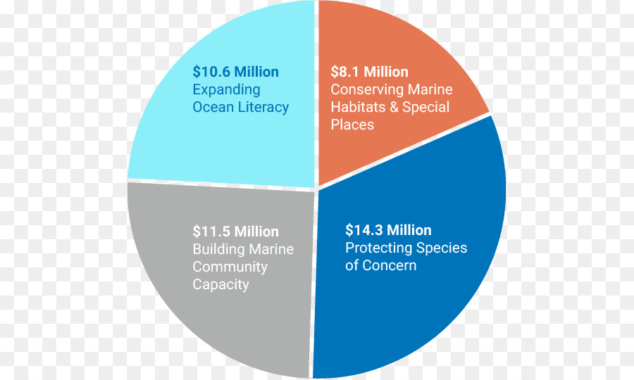 Océano，Ocean Foundation PNG