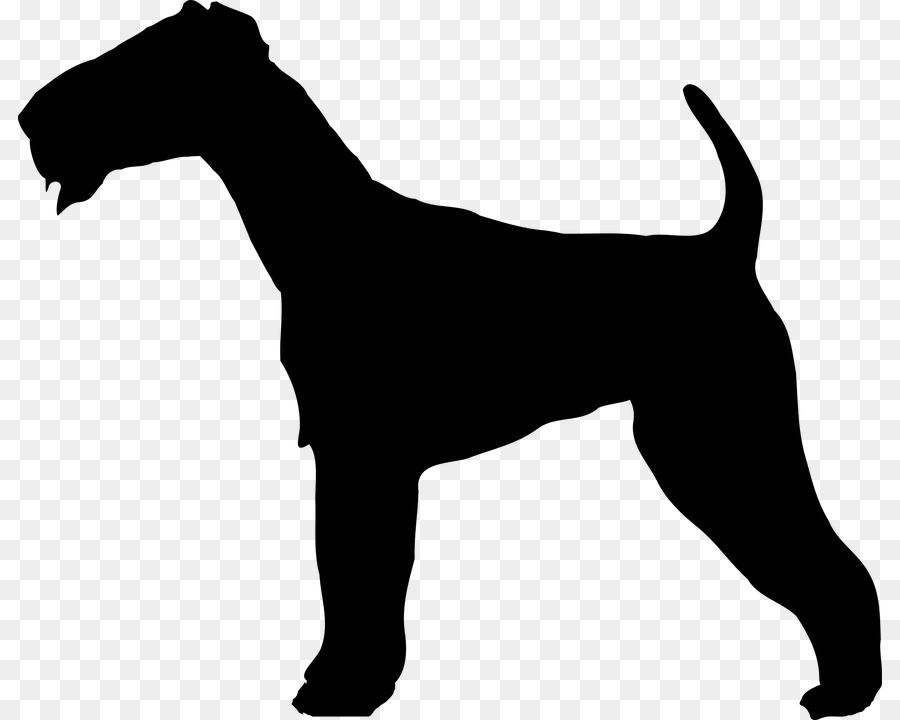 Irish Terrier，Softcoated De Trigo Terrier PNG