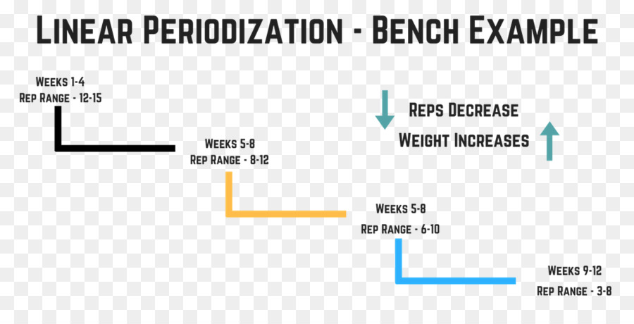 Periodización Deportiva，Entrenamiento De Fuerza PNG