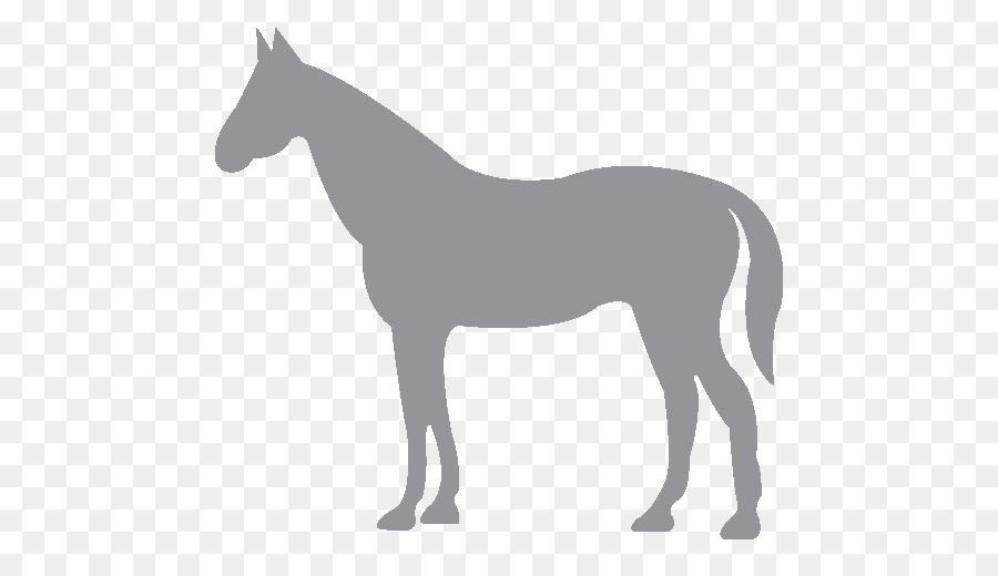 Burro，Animal PNG