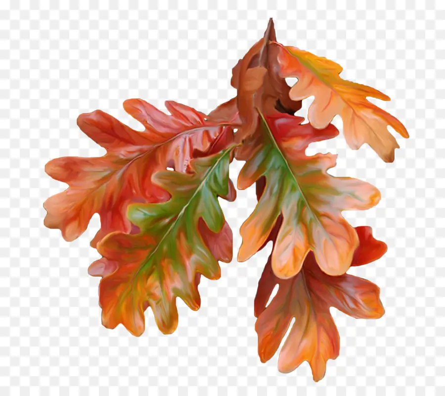 Hojas De Otoño，Caer PNG