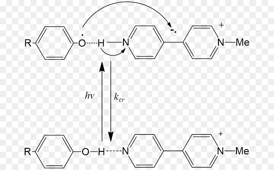 Fluorenylmethyloxycarbonyl Cloruro De，La Síntesis De Péptidos PNG