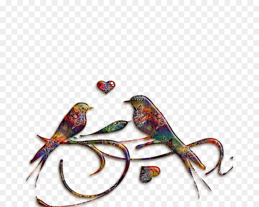 Pájaros Coloridos Con Corazón，Pájaros PNG