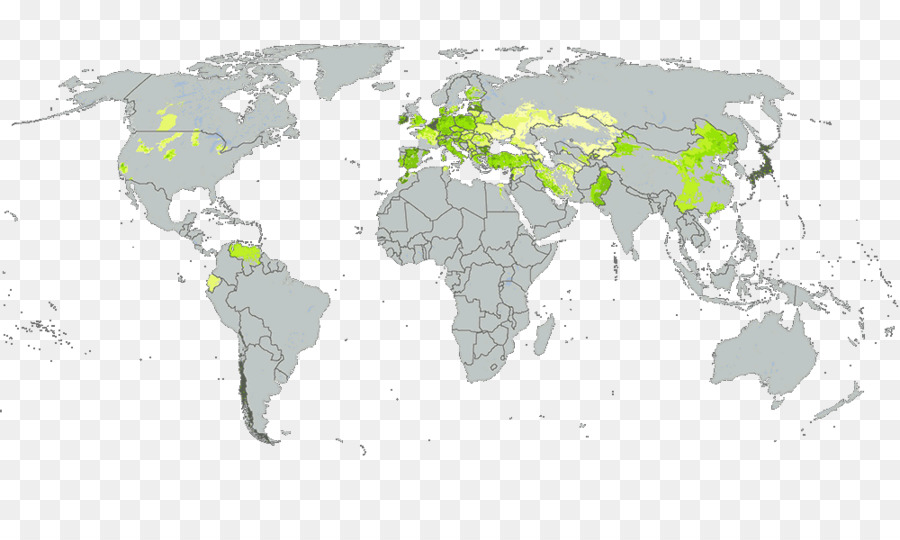 Mundo，Mapa Del Mundo PNG