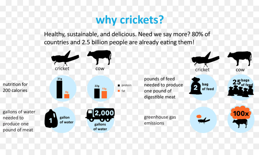 Cricket Harina，Los Insectos PNG