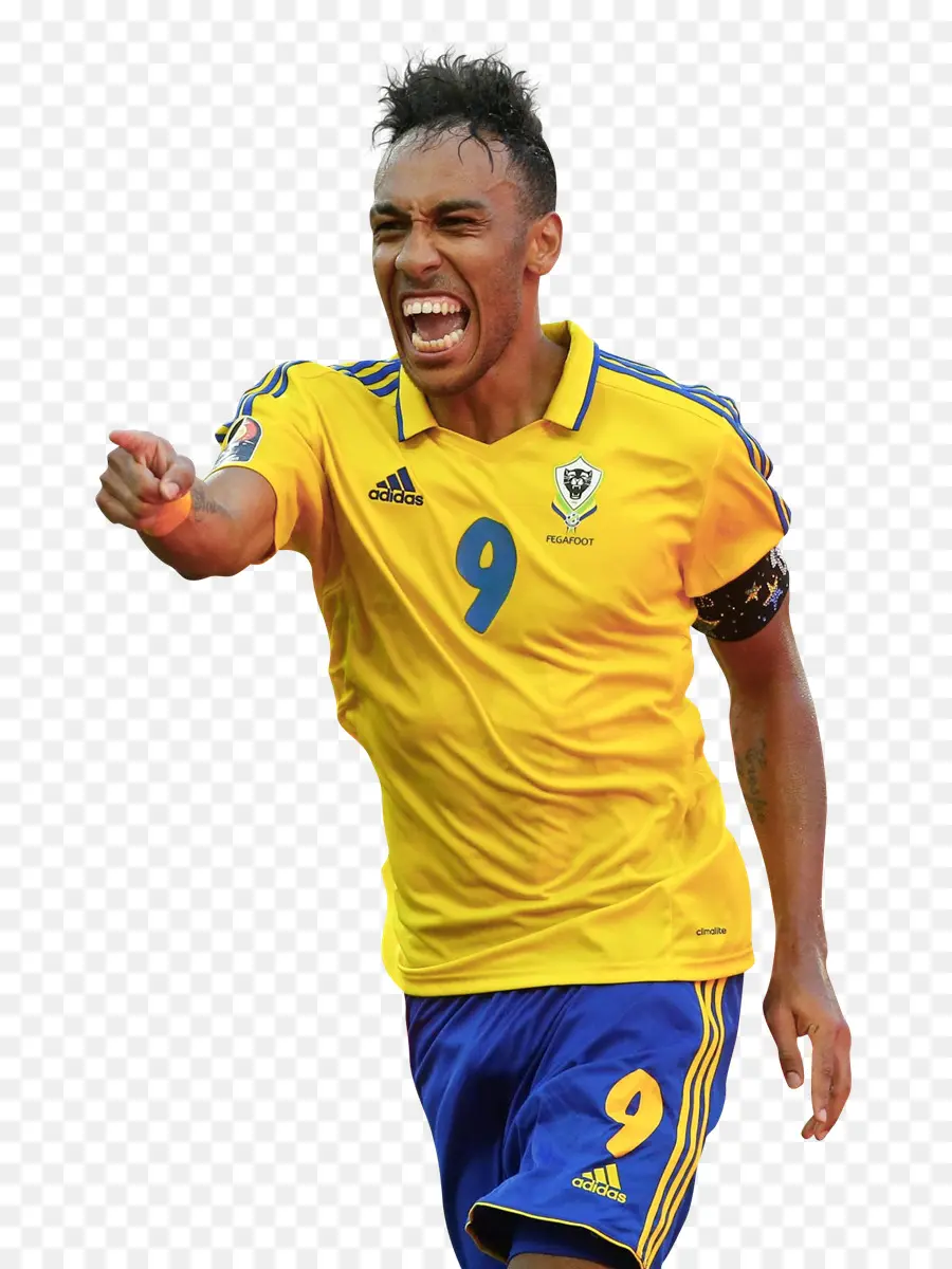 Pierreemerick Aubameyang，Gabón PNG