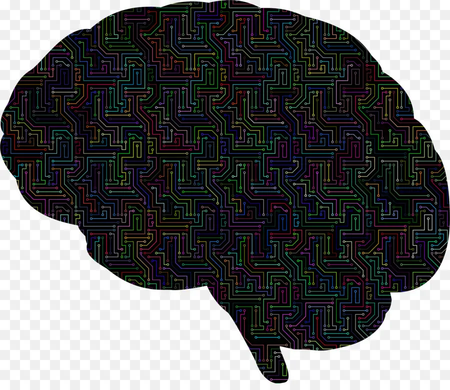 Cerebro，Iconos De Equipo PNG