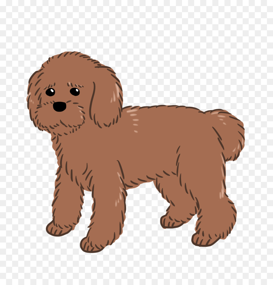 Goldendoodle，Schnoodle PNG